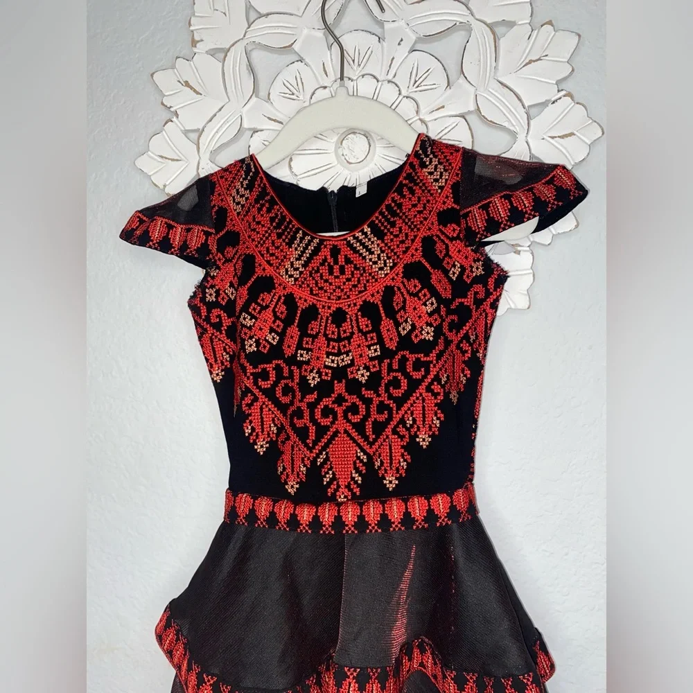 Girls embroidered ruffle dresses size 2T BRAND NEW no tags though! - Picture 9 of 11